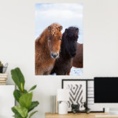 IJslands paard in de winter op IJsland Poster (Thuiskantoor)