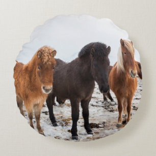 IJslands paard in de winter op IJsland Rond Kussen