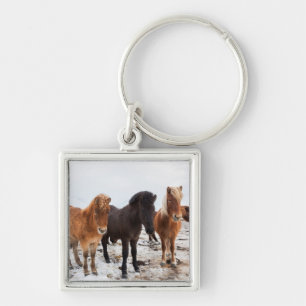 IJslands paard in de winter op IJsland Sleutelhanger