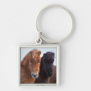 IJslands paard in de winter op IJsland Sleutelhanger