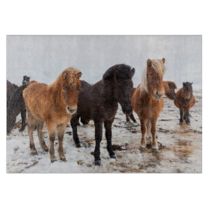 IJslands paard in de winter op IJsland Snijplank