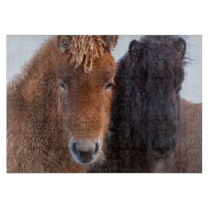IJslands paard in de winter op IJsland Snijplank