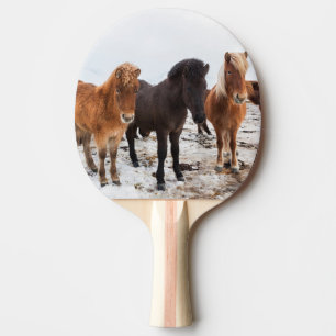 IJslands paard in de winter op IJsland Tafeltennisbatje
