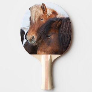 IJslands paard in de winter op IJsland Tafeltennisbatje