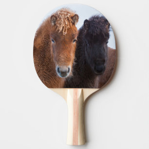 IJslands paard in de winter op IJsland Tafeltennisbatje