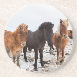 IJslands paard in de winter op IJsland Zandsteen Onderzetter