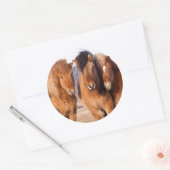 IJslands paard in de winter Ronde Sticker (Envelop)
