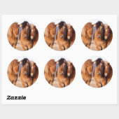 IJslands paard in de winter Ronde Sticker (Vel)