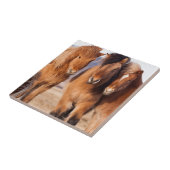 IJslands paard in de winter Tegeltje (Zijkant)