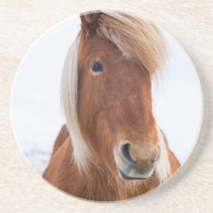 IJslands paard in de winter Zandsteen Onderzetter