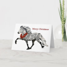 IJslands Paard Kerstmis