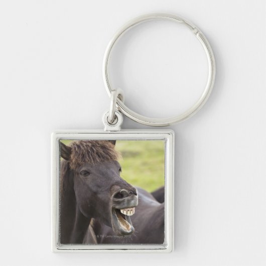 IJslands paard met grappige expressie Sleutelhanger (Voorkant)