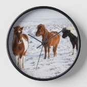 IJslands paard met typische winterjas (Voorkant)