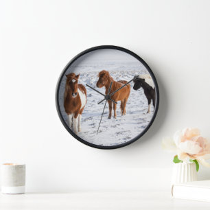 IJslands paard met typische winterjas