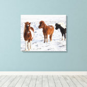 IJslands paard met typische winterjas Canvas Afdruk (Insitu (Houten vloer))