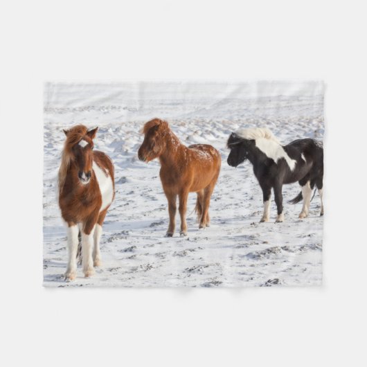 IJslands paard met typische winterjas Fleece Deken (Voorkant (Horizontaal))