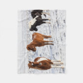 IJslands paard met typische winterjas Fleece Deken (Voorkant)