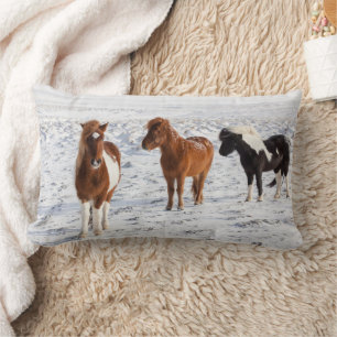 IJslands paard met typische winterjas Kussen