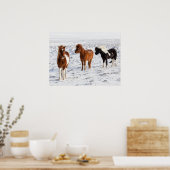 IJslands paard met typische winterjas Poster (Keuken)