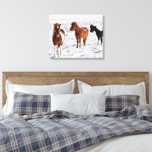 IJslands paard met typische winterkat Canvas Afdruk (Insitu (Slaapkamer))