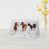 IJslands paard met typische winterkat Kaart (Gele Bloem)