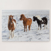 IJslands paard met typische winterkat Legpuzzel (Horizontaal)