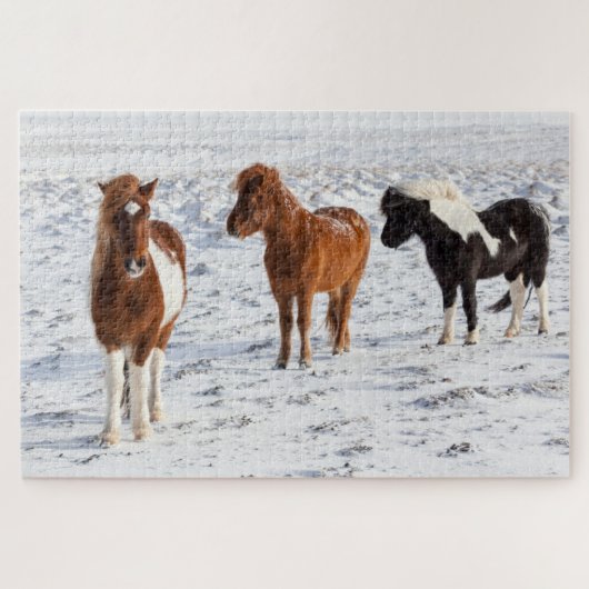 IJslands paard met typische winterkat Legpuzzel (Horizontaal)