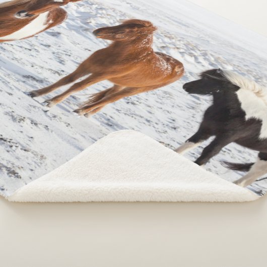 IJslands paard met typische winterkat Sherpa Deken (3/4)