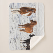 IJslands paard met typische winterkat Sherpa Deken (Voorkant)