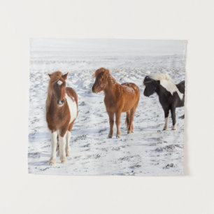 IJslands paard met typische winterkat Wandkleed