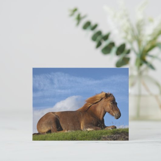 IJslands paard rust en hemel Briefkaart (Staand voorkant)