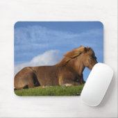 IJslands paard rust en hemel Muismat (Met muis)