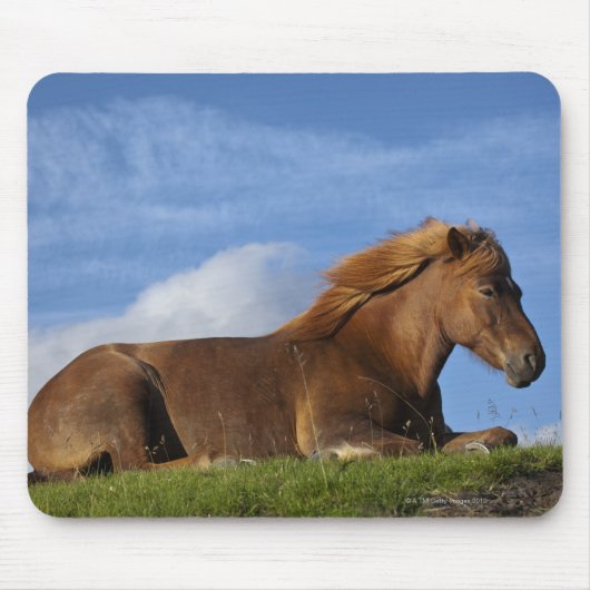IJslands paard rust en hemel Muismat (Voorkant)