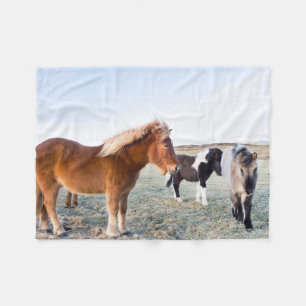 IJslands paard tijdens de winter op IJsland Fleece Deken