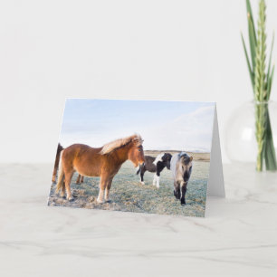 IJslands paard tijdens de winter op IJsland Kaart