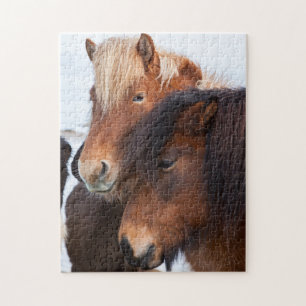 IJslands paard tijdens de winter op IJsland Legpuzzel