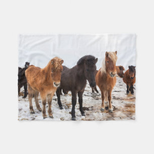 IJslands Paard Tijdens Winter IJsland Fleece Deken
