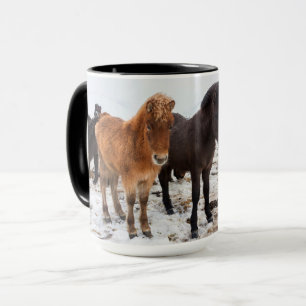 IJslands Paard Tijdens Winter IJsland Mok