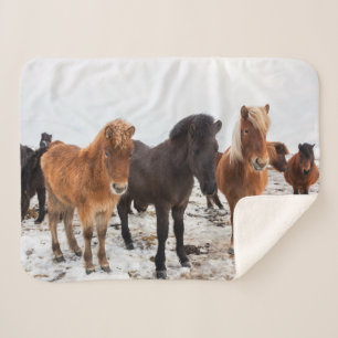 IJslands Paard Tijdens Winter IJsland Sherpa Deken