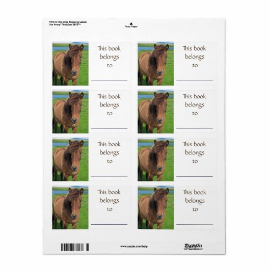 IJslands Paardenboeklabel Etiket (Full Sheet)