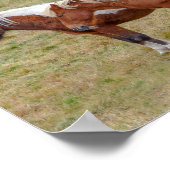 IJslands paardenduo, IJslandse weide Poster (Hoek)