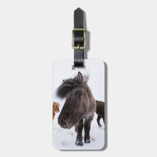 IJslands paardenportret, IJsland Bagagelabel