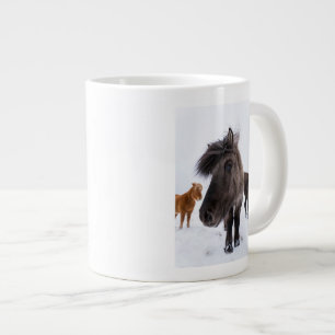 IJslands paardenportret, IJsland Grote Koffiekop