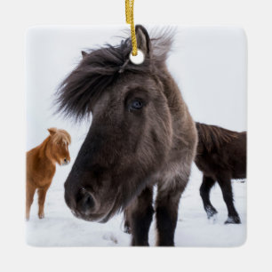 IJslands paardenportret, IJsland Keramisch Ornament