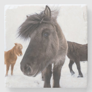 IJslands paardenportret, IJsland Stenen Onderzetter
