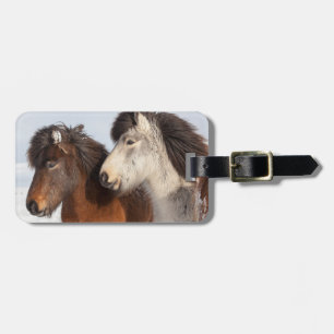 IJslands paardenprofiel, IJsland Bagagelabel