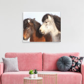 IJslands paardenprofiel, IJsland Canvas Afdruk (Insitu (Woonkamer))