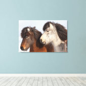 IJslands paardenprofiel, IJsland Canvas Afdruk (Insitu (Houten vloer))