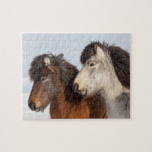 IJslands paardenprofiel, IJsland Legpuzzel