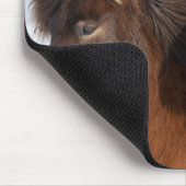 IJslands paardenprofiel, IJsland Muismat (Hoek)